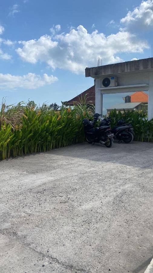 Bruann Residence Villa 2 Seseh Perenenan Amazing Views Munggu Exterior photo